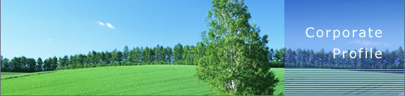 Corporate Profile